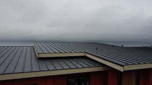 Best Roof Waterproofing  in USA